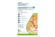 Revolution Plus For Large Cats 5-10kg 6 Pack