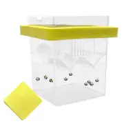 Aquarium Fish Breeding Box Live Bearer Fry Tank Hatchery Trap With Suction Cups