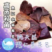 在飛比找蝦皮購物優惠-欖仁葉茶10包一組 純天然乾燥高蒸殺菌欖仁葉魚缸水質救星茶包