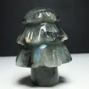 99g Natural Crystal Specimen.Labradorite . Hand-carved. The Tree of Life