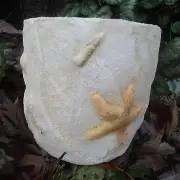 Sea shell planter mold with plastic backup plaster concrete mould 4.5"H x 5"W
