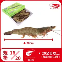 在飛比找蝦皮購物優惠-【蝦買buyshrimpshop】金剛大白蝦(規格:16/2