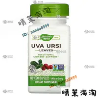 在飛比找蝦皮購物優惠-【新店特惠】熊果葉茶 480mg 100粒 Uva Ursi