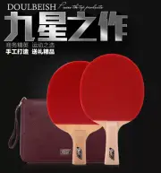 * Pro Tournament Nice Double Fish DHS table tennis racket ping pong paddle
