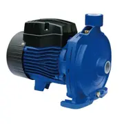 Bianco Horizontal Cast Iron Centrifugal Irrigation Pump With 2 Years Warranty