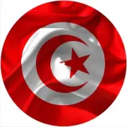 Slipmat Slip Mat Felt for any 12" Turntable LP DJ Record Deck Player FLAG TURKEY