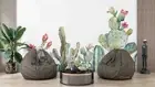 3D Watercolor Cactus Wallpaper Wall Mural Removable Self-adhesive 214