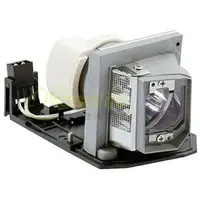 在飛比找樂天市場購物網優惠-OPTOMA-OEM投影機燈泡BL-FP230D /SP.8
