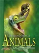 The Encyclopedia of Animals ─ A Complete Visual Guide