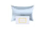 Royal Comfort Pure Silk Pillowcase Single Pack Protector 51x76cm Soft Blue