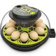 Incubators for Hatching Eggs 12 Egg Incubator with Automatic Egg Turning and ...