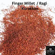 Organic Figer Millet / Ragi / Kurakkan Whole Seeds 200g+ 10% Extra Free Ship