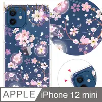 在飛比找PChome24h購物優惠-KnowStar APPLE iPhone 12 mini 