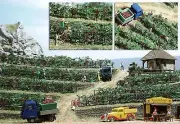 Busch 1200 HO/OO Gauge Grape Vines
