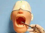 Dental Oral Anesthesia Simulator MANIKIN Practice Training Model Phantom New