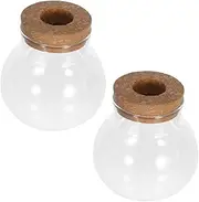 Abaodam 2pcs Small Glass Hydroponic Plant Terrariums for Desktop Decoration Decorative Flowerpot Compact Propagation Station for Home and Office Decor
