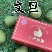 在飛比找蝦皮購物優惠-【自產自銷-文旦】柚子 文旦 水果禮盒 麻豆文旦 文旦禮盒 