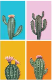 Cactus Posters - Set of 4 - Wall Art Print - Cacti Nursery (36 X 60 Inches)