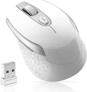 Ergonomic Wireless 2.4G Computer Mouse, Silent, 3 Adjustable DPI