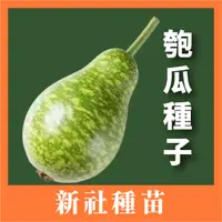 在飛比找蝦皮購物優惠-現貨）匏瓜種子｜丸瓜匏｜開心農場｜日常好菜｜居家種植｜蔬菜專