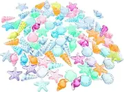 [OSALADI] Diy Acrylic Conch Decoration Materials 500g Marine Life Craft Kit for Boys and Girls