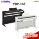 【金聲樂器】Yamaha YDP-145 電鋼琴 數位鋼琴 附鋼琴椅 (白色，另有深玫瑰木色可選)
