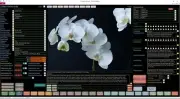 New 2020 Version Orchid Collector Database Professional Software