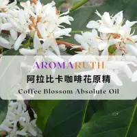 在飛比找蝦皮購物優惠-AROMARUTH阿拉比卡咖啡花原精Coffee Bloss