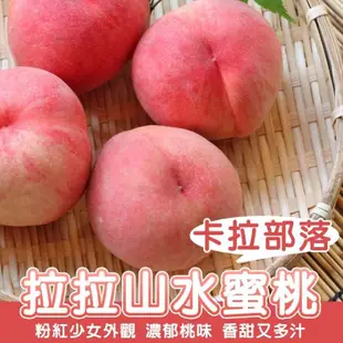 【果之蔬】果農直配卡拉部落拉拉山水蜜桃1.2kg