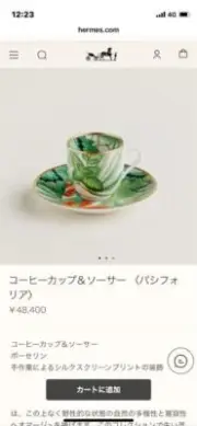 HERMES Coffee Cup & Saucer Passiflora