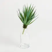 Artificial Succulent Yucca Pick [ASPLSUCCU15B_YUC]