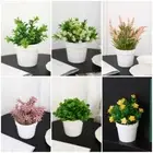Plastic Plant Artificial Plant Bonsai Fake Flower Simulation Flower Pot Home