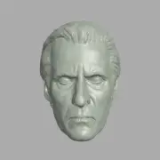 Young Count Dooku Christopher Lee Clone Wars custom head use with action figures