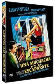 Girl in the Window NEW PAL Classic DVD Luciano Emmer Lino Ventura