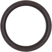 Crankshaft Rear Seal OSS0020