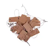 100pcs Kraft Paper Label Tags Blank Strap for Packaging Gift Tags Craft Label