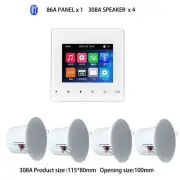 Bluetooth Wall Amplifier Stereo Sound System Touch Screen Home Theater 2.8Inch