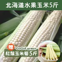 在飛比找台灣好農優惠-【買5送5】北海道水果玉米【加贈】好農農場玉米筍-倉