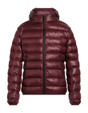 [CAVALLI CLASS] CAVALLI CLASS Puffers - Item 16260670