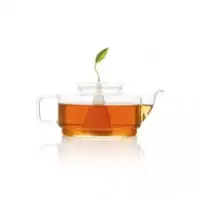 在飛比找博客來優惠-Tea Forte SONTU精緻玻璃茶壺 SONTU TE