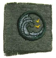 Rare 1928-1933 Girl Scout SWIMMER BADGE Ocean Wave Patch Grey Green FULL SQUARE