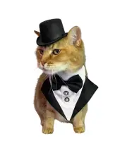 Black Top Hat and Tux for Cat Wedding Top Hat and Tux for Small Dog