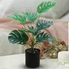 Tree Night Lamp USB Plug LED Plant Shape Light Bedroom Decoration (Turtle Leaf)
