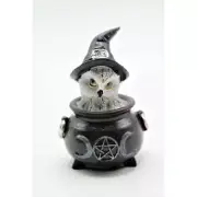 Halloween White Witch Snow Owl with Hat In Black Triple Moon Pentagram Fantasy