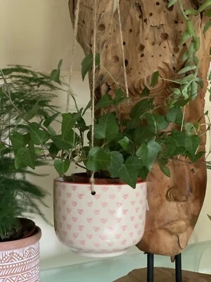 Sass and Belle Little Red Hearts Hanging Planter Great Mothers Day Gift