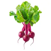 Beetroot - Bilbo F1 seeds