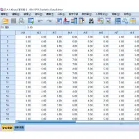 在飛比找蝦皮購物優惠-SPSS數據代跑 專題 論文必備 可接急單 大學 碩士必備