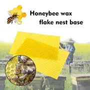 10/30PCS Natural Apis Sheets Bee Frames Honeybee Wax Flake Nest Beekeeping Tool