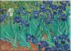 Compact Mirror - Vincent Van Gogh's Irises Reproduction - 3.5" x 2.5" - #7706