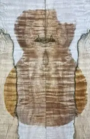 Figure Electric Guitar Top Spalted Quilted Maple Wood Bookmatched Luthier Supply